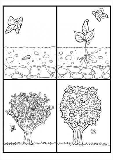 KOLOROWANKI - całe drzewa - cykl drzewa - kolorowanka2.jpg