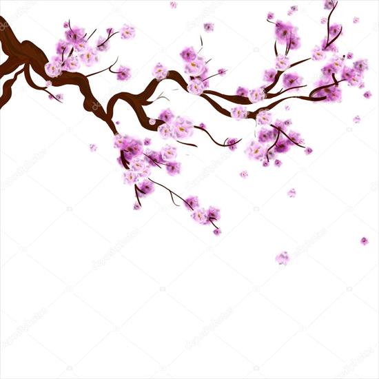  TŁO BIAŁE - depositphotos_108405164-stock-illustration-watercolor-sakura-background-with-blossom.jpg