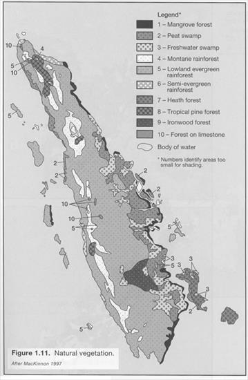 Wspa Sumatra - mapy - vegetation mapa rosłinności i wylesienia.jpg