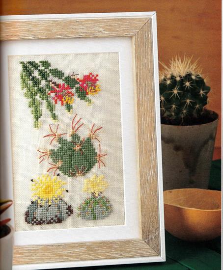 Cactus  succulentes - 41.jpg