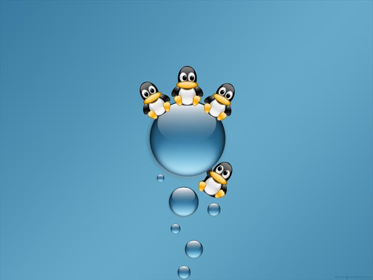 Coś z Linuxa - bubbleriders1024.jpg