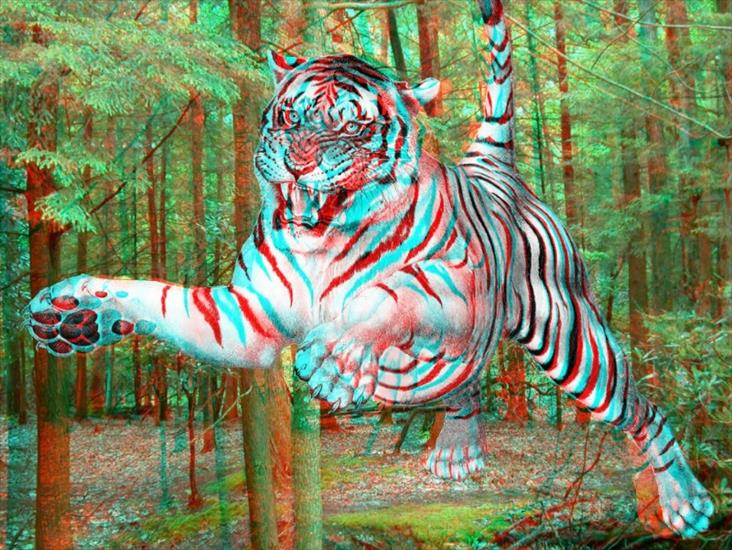 foto-anaglify- 3d - Tiger-large.jpg