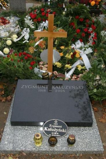 groby znanych Polakow - Groby_znanych_Polakow_2074980.jpg