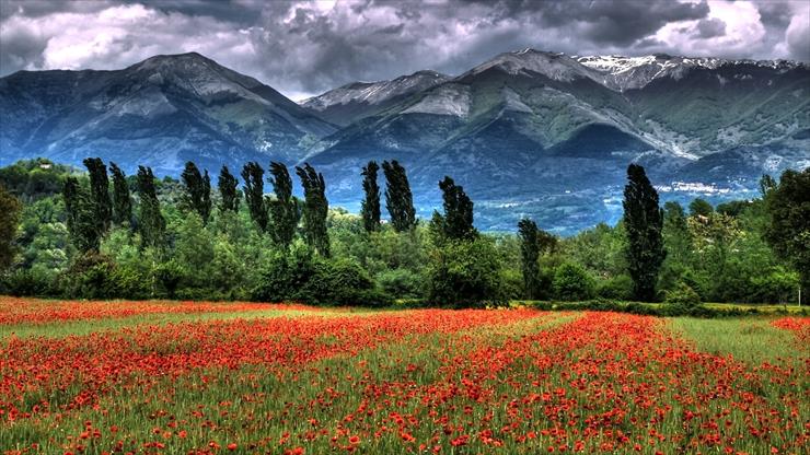 1. TAPETY NA PULPIT  176 - mountain_field_poppies_landscape_87143_1920x1080.jpg