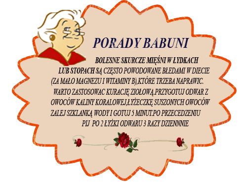  PORADY BABUNI  - 1,1,11.png