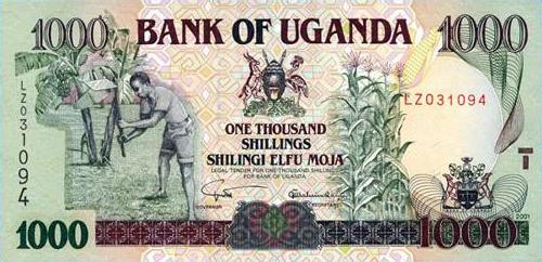  BANKNOTY  - Uganda - szyling.JPG