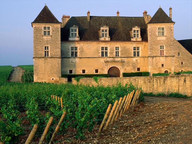 Francja - Clos de Vougeot Vineyard, Vougeot, France.jpg