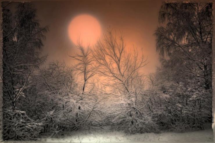 Pejzaż zimowy - Winter sun. Photographer Andrey Annenkov.jpg
