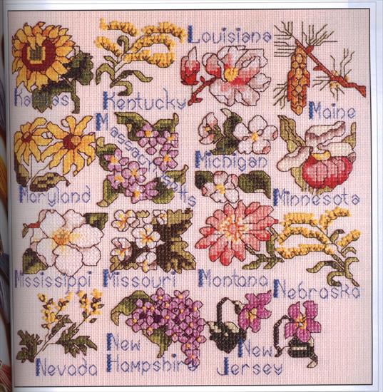 ksiązki ze wzorami - state flowers b color.jpg