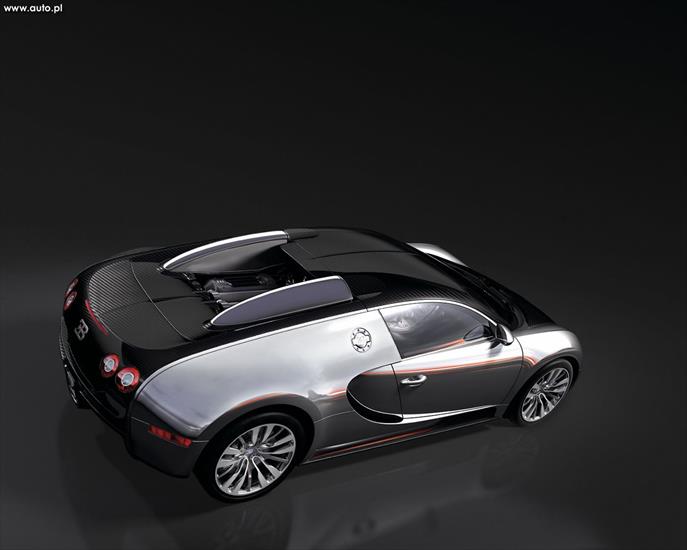 pojazdy - 140_Bugatti-Veyron_Pur_Sang_2007_02.jpg