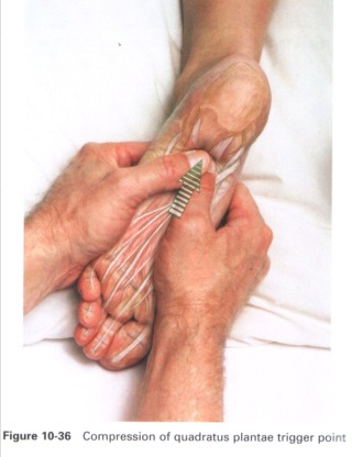 Anatomia masażu - 10-36.JPG